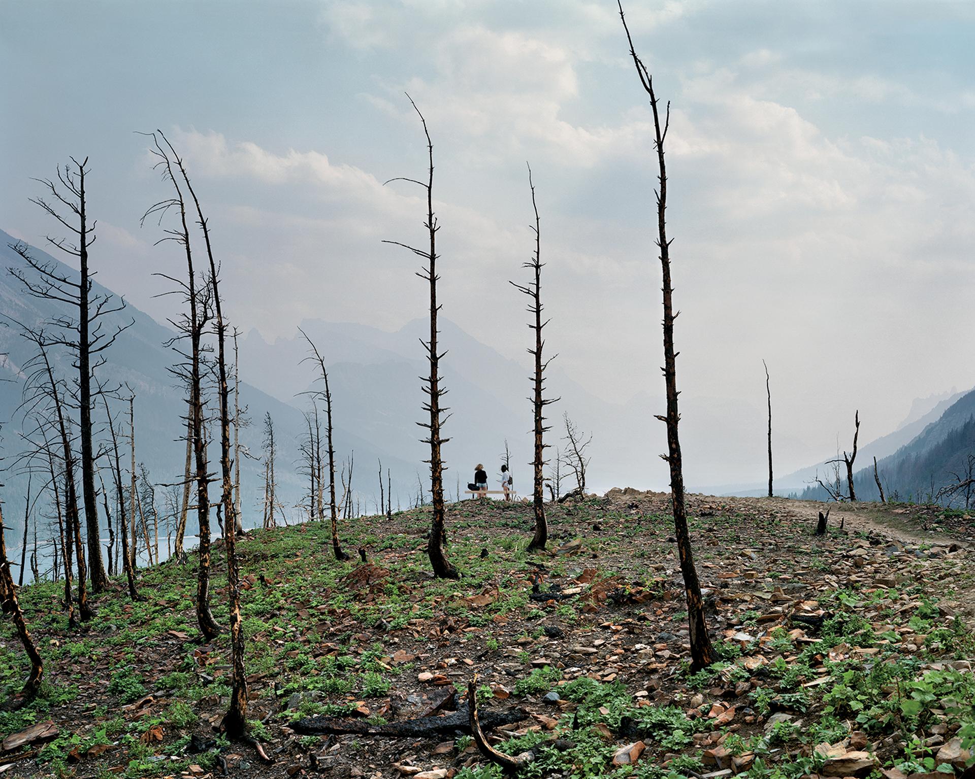 Andreas Rutkauskas - Aftermath of the Kenow Fire, Waterton Lakes National Park, 2019
