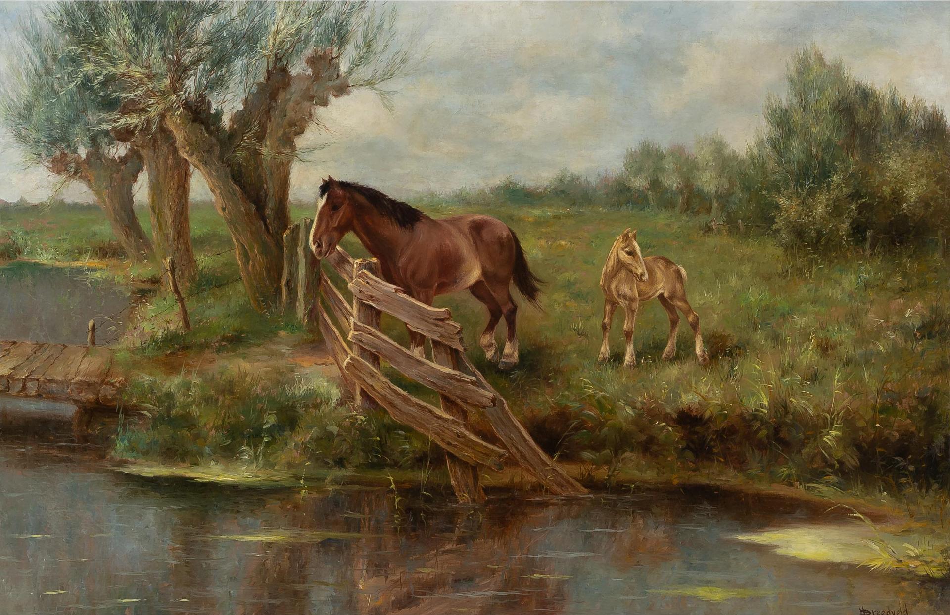 Hendrick Breedveld - Horses