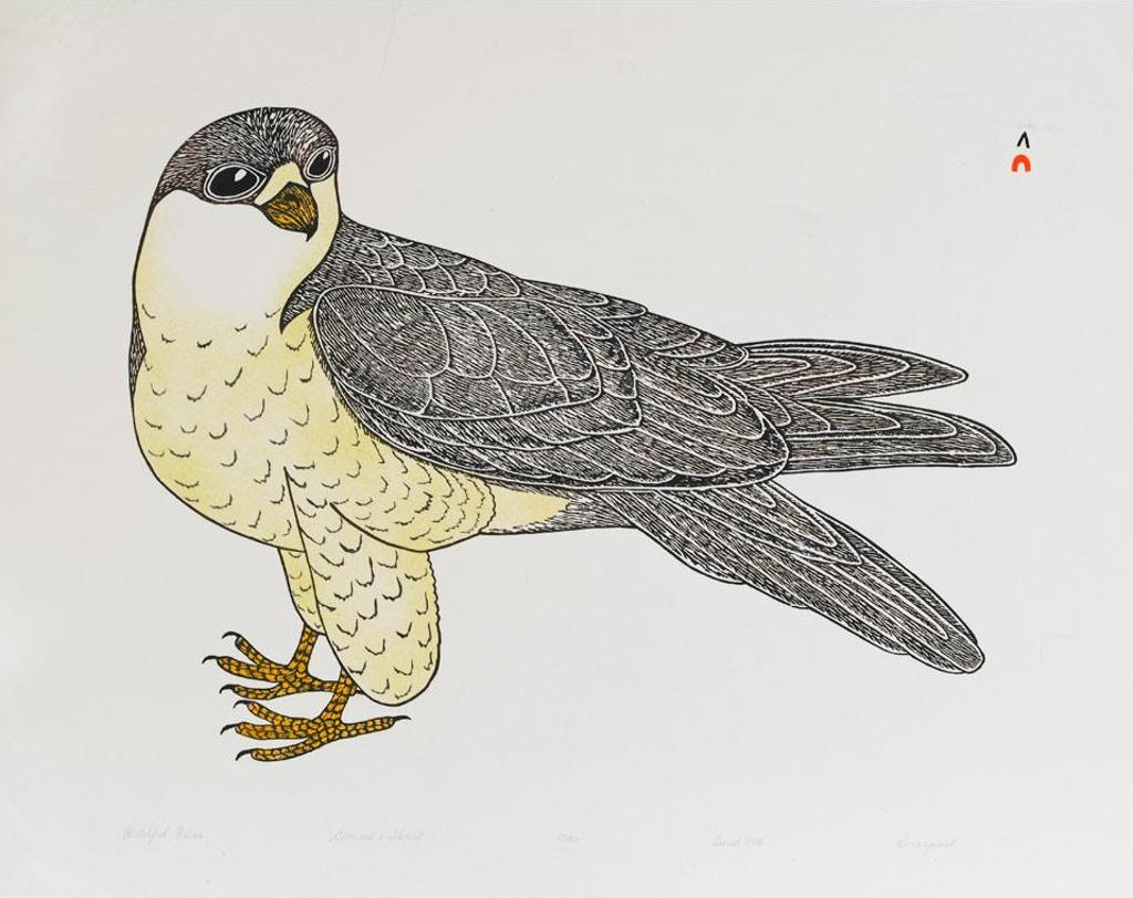 Kananginak Pootoogook (1935-2010) - Watchful Falcon