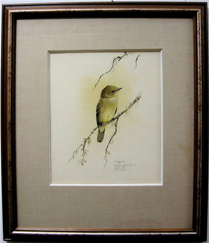 James Fenwick Lansdowne (1937-2008) - Yellow-Bellied Flycatcher