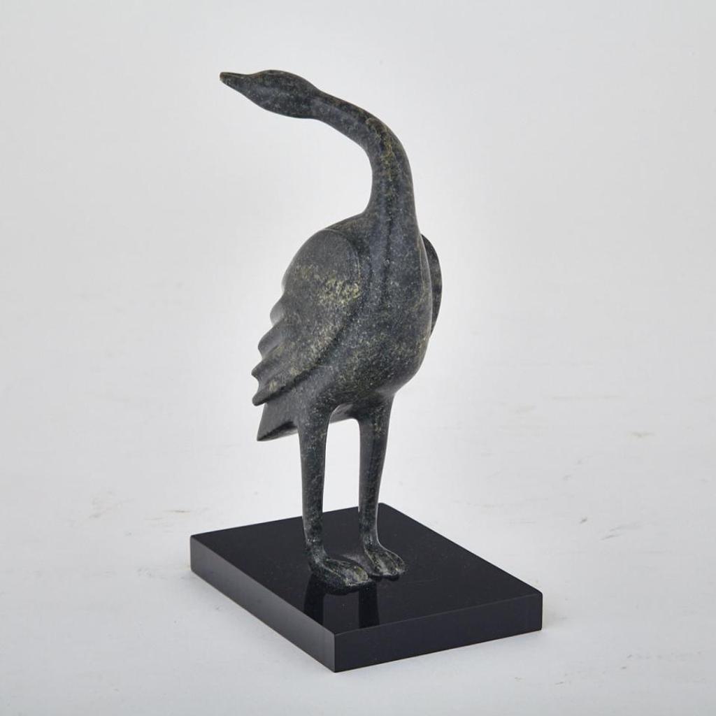 Pootoogook Qiatsuk (1959) - Bird Looking Back