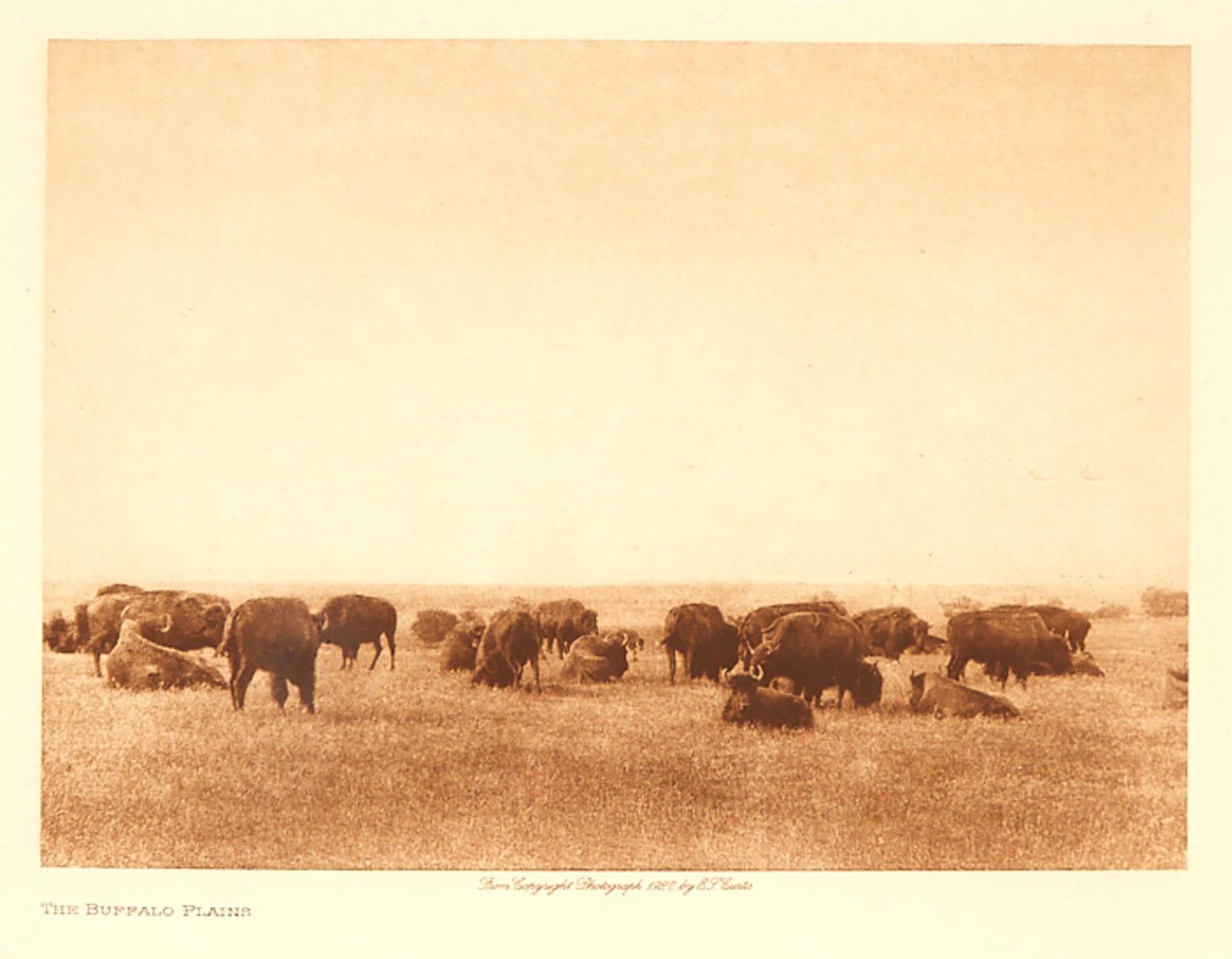 Edward Sherrif Curtis (1868-1952) - The Buffalo Plains, 1927