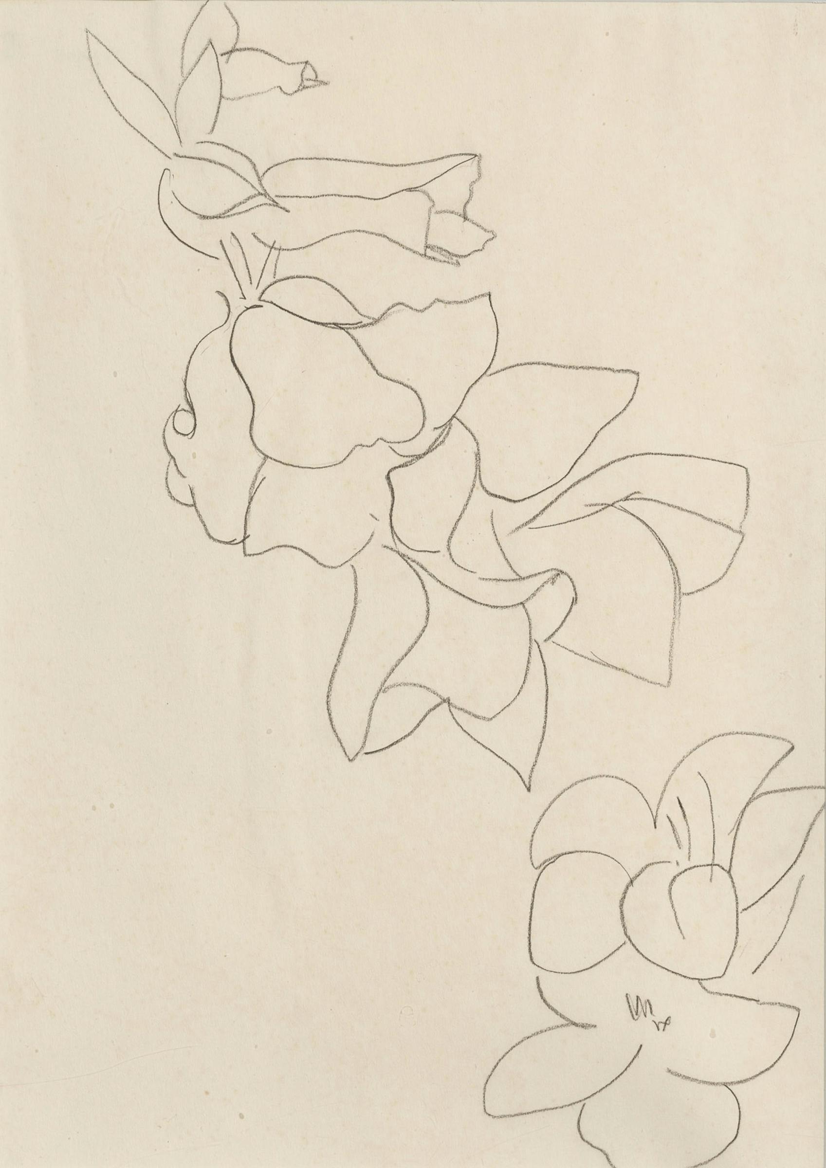 Henri Matisse (1869-1954) - Fleurs et feuilles, 1942