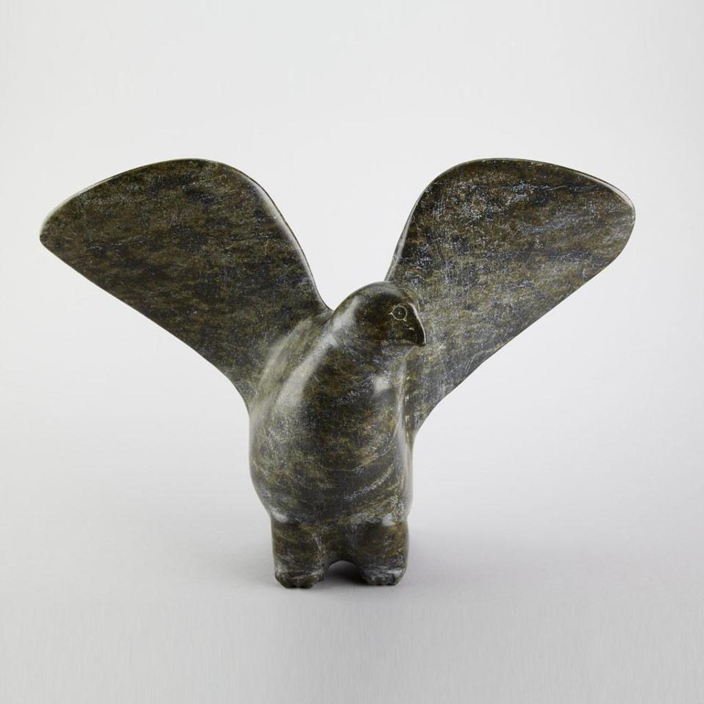 Kooyoo Peter (1966) - Large Owl