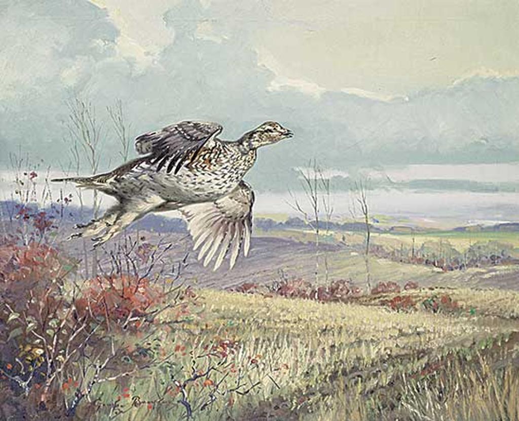 George Browne (1918-1958) - Sharp Tail Grouse Flushing