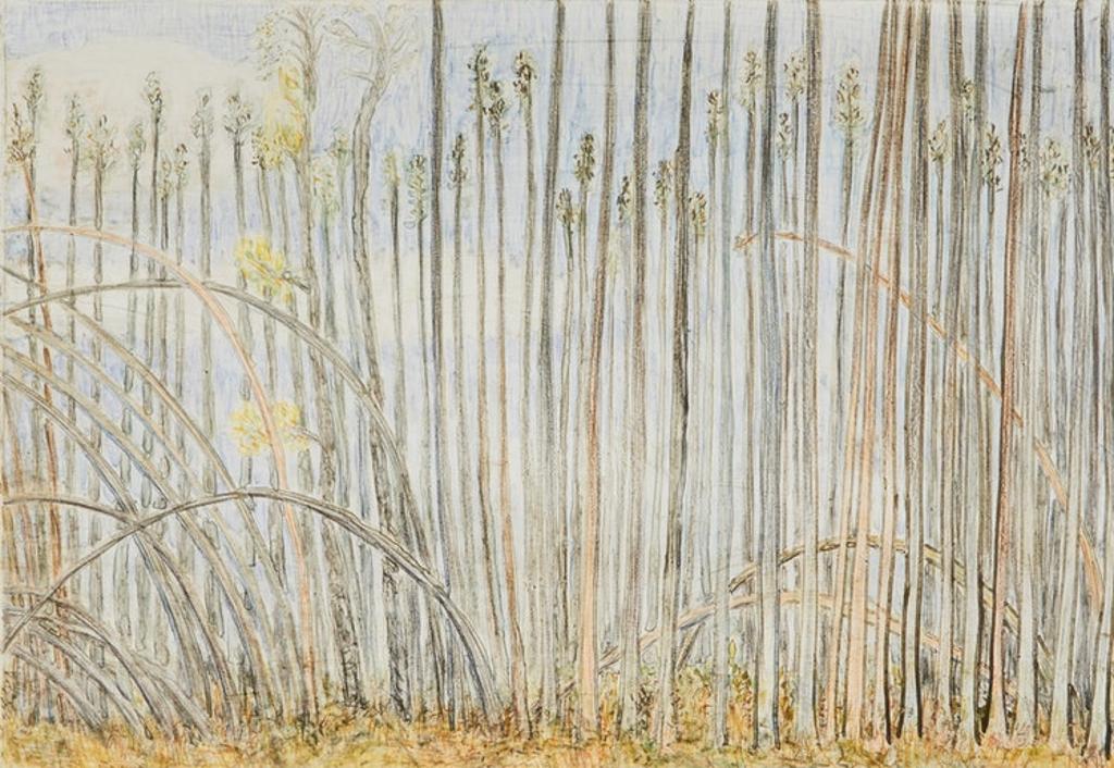 Arnold Edward Shives (1943) - Orbit of Fall; Tall Pines I