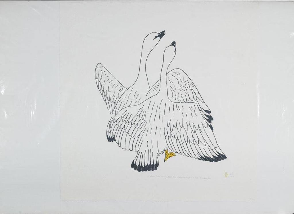 Marjorie Esa (1934) - Snow Geese Mating