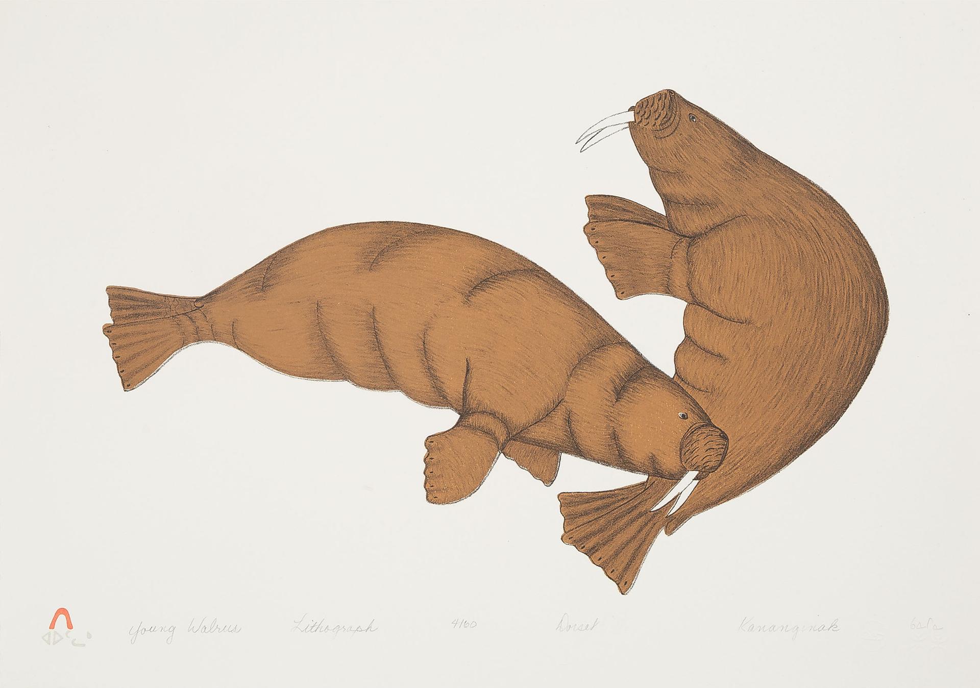 Kananginak Pootoogook (1935-2010) - Young Walrus