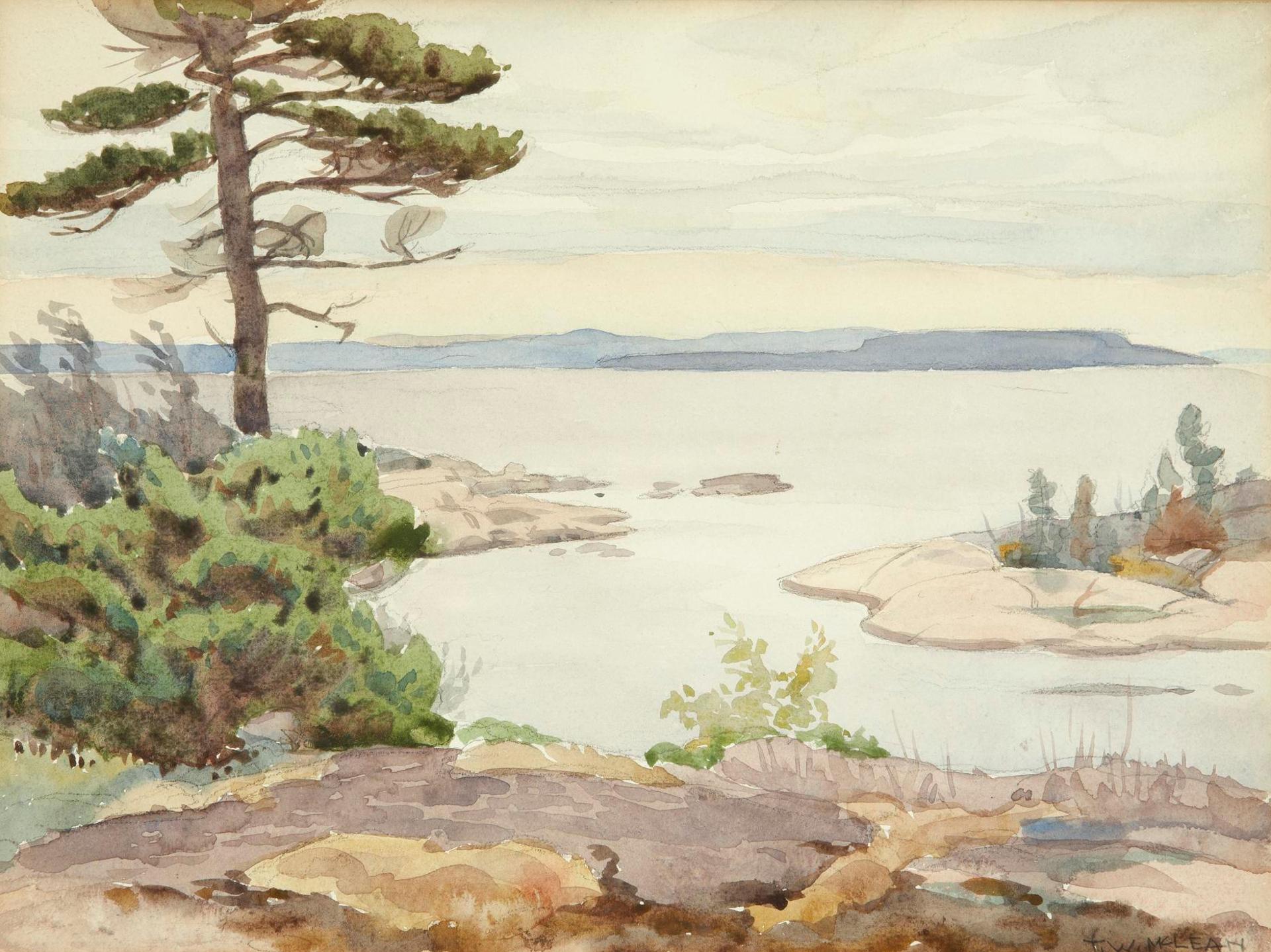 Thomas Wesley Mclean (1881-1951) - Georgian Bay, Rocky Point; Waterfall; Rapids; Winter Scene; Landing a Canoe; Mountain Range; and Forest Interior