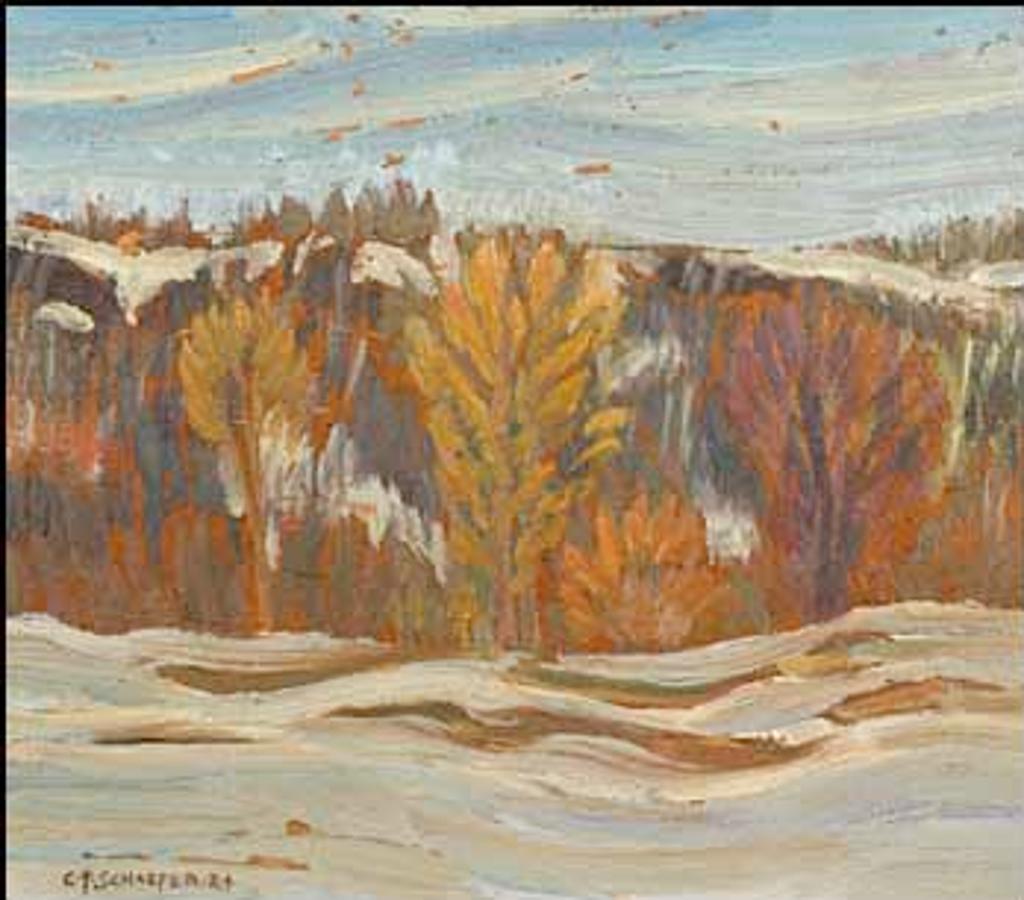 Carl Fellman Schaefer (1903-1995) - Winter Landscape, York Mills