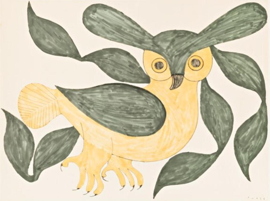 Kenojuak Ashevak (1927-2013) - Untitled (Owl), 1970