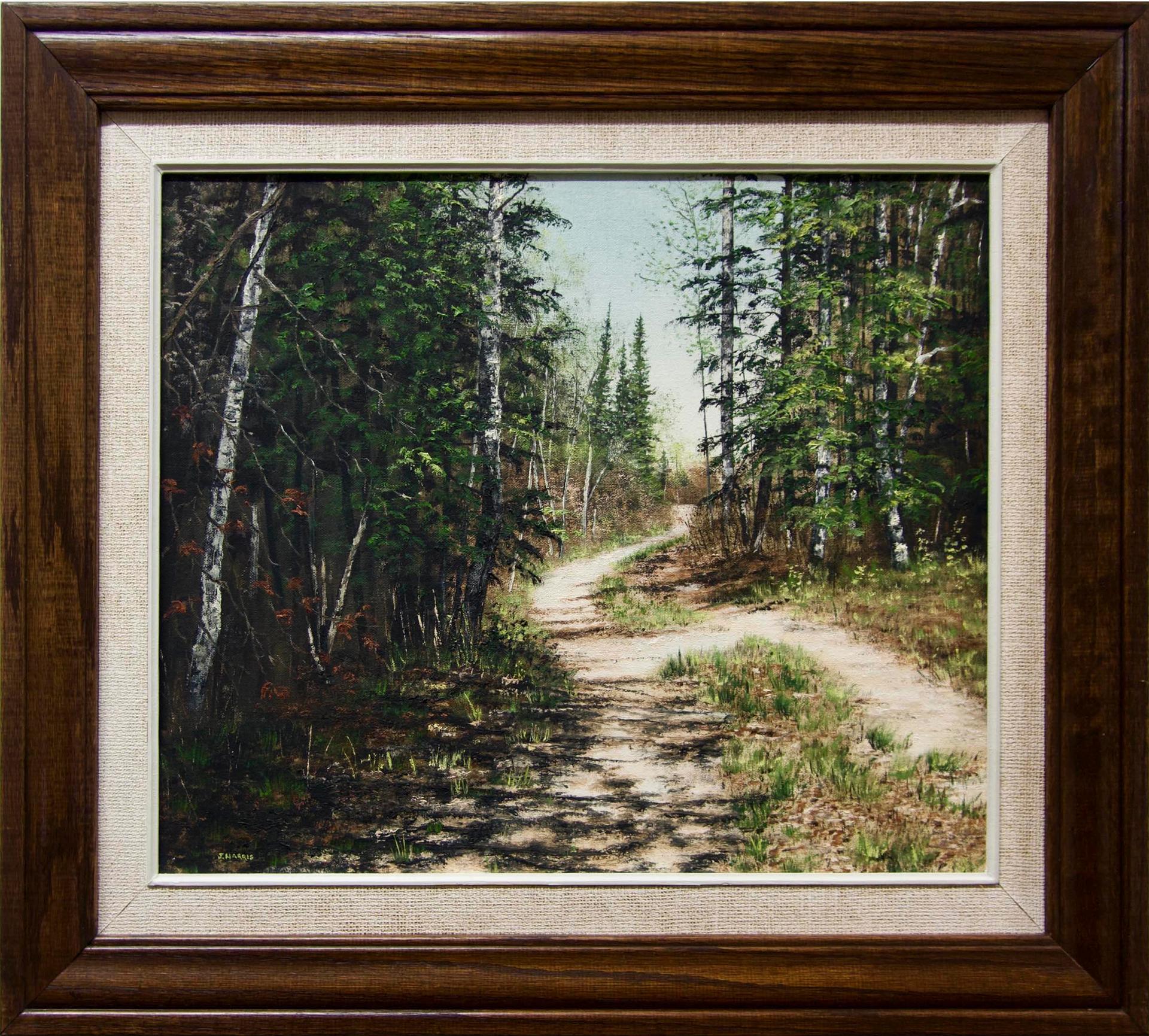 Julie Harris - Woodland Byway (Kendall Inlet, Clearwater Bay, Ontario)