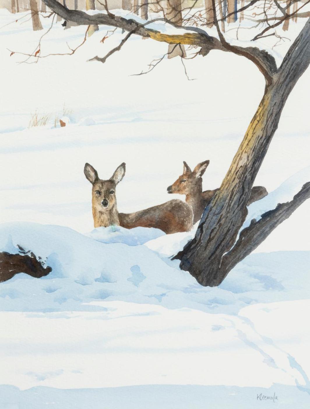 Terry Kleemola - Deer in Winter