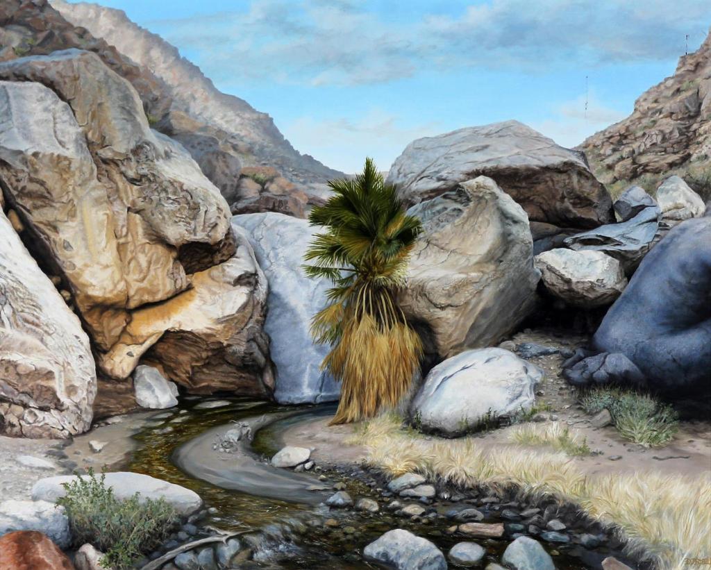 David J. Steele - Desert Spring - Borrego Springs