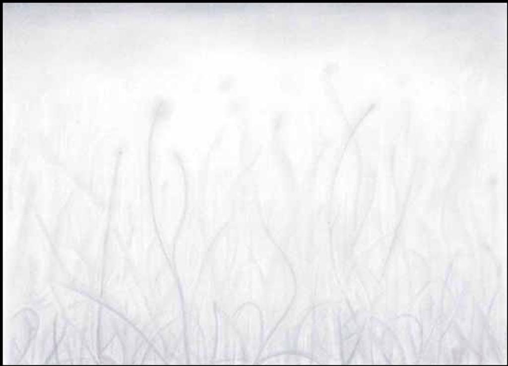 Brian Mark Kipping (1953-2007) - Common Landscape - Spore Bearers (01313/2013-2270)