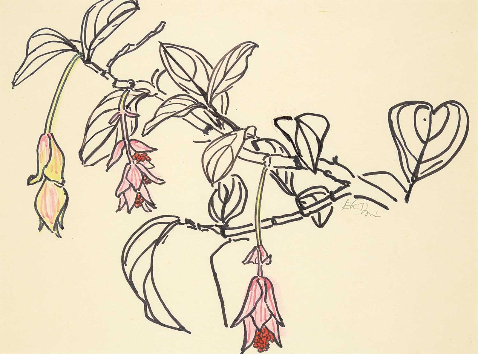 P.K. [Patricia Kathleen Page] Irwin - Untitled - Flowers on the Branch