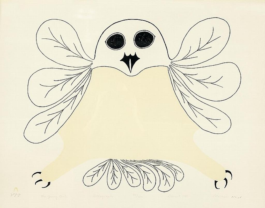 Pitaloosie Saila (1942-2021) - The Young Owl