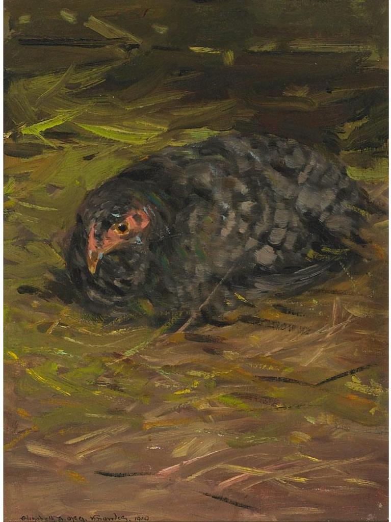 Elizabeth Mcgillivray Strachan Knowles (1866-1928) - Resting Bird