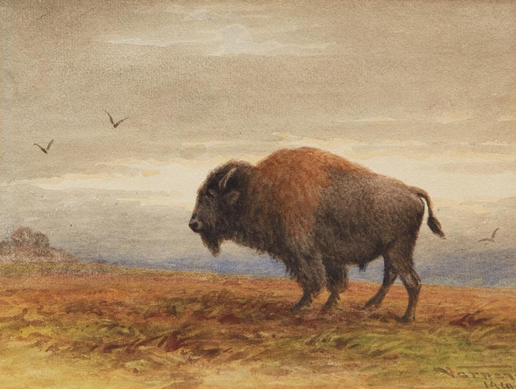Frederick Arthur Verner (1836-1928) - Buffalo