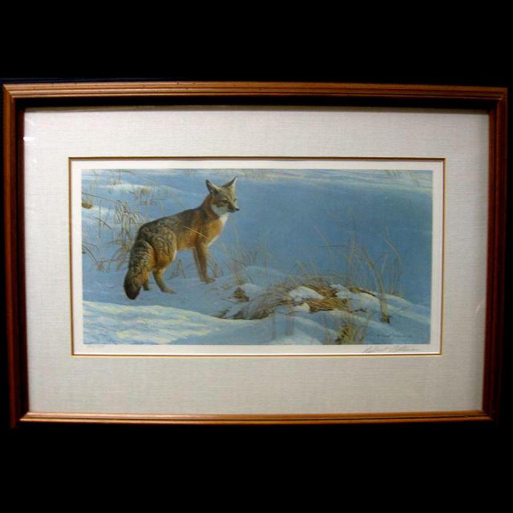 Robert Mclellan Bateman (1930-1922) - Swift Fox