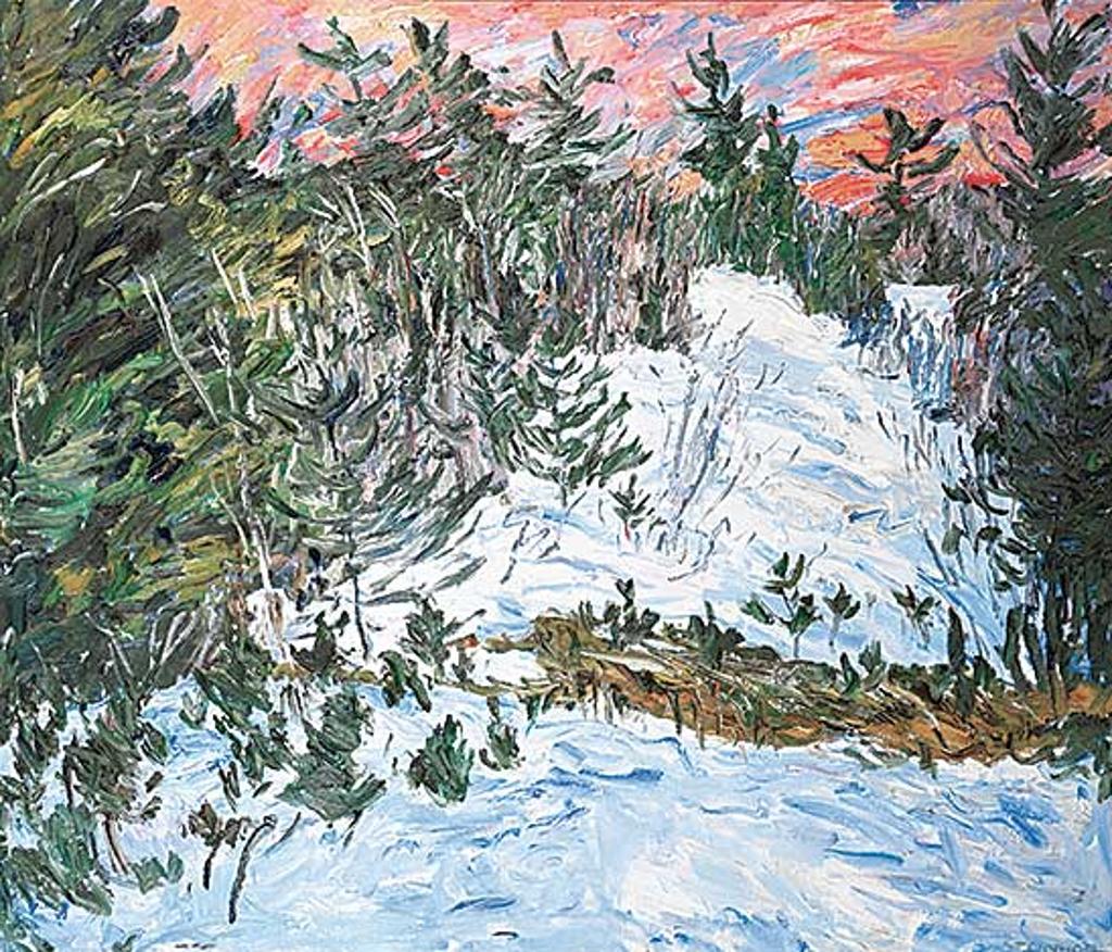 Bruce Steinhoff (1959) - Winter Evening, Lake of the Woods