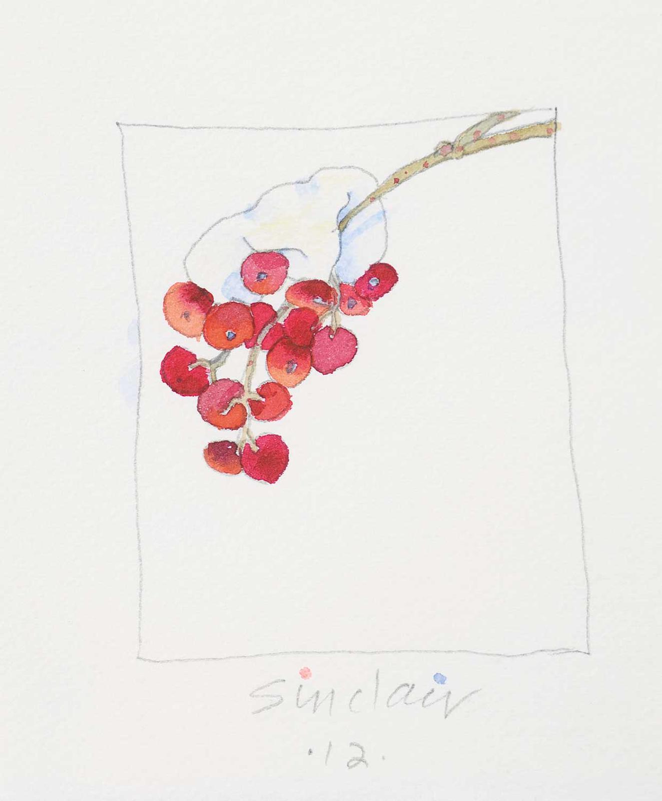Robert William Sinclair (1939) - Single Drop, Snow Mountain Ash Berries