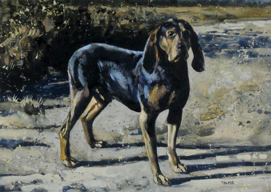 Ken Tolmie - Study For Ed Mitchells Hound