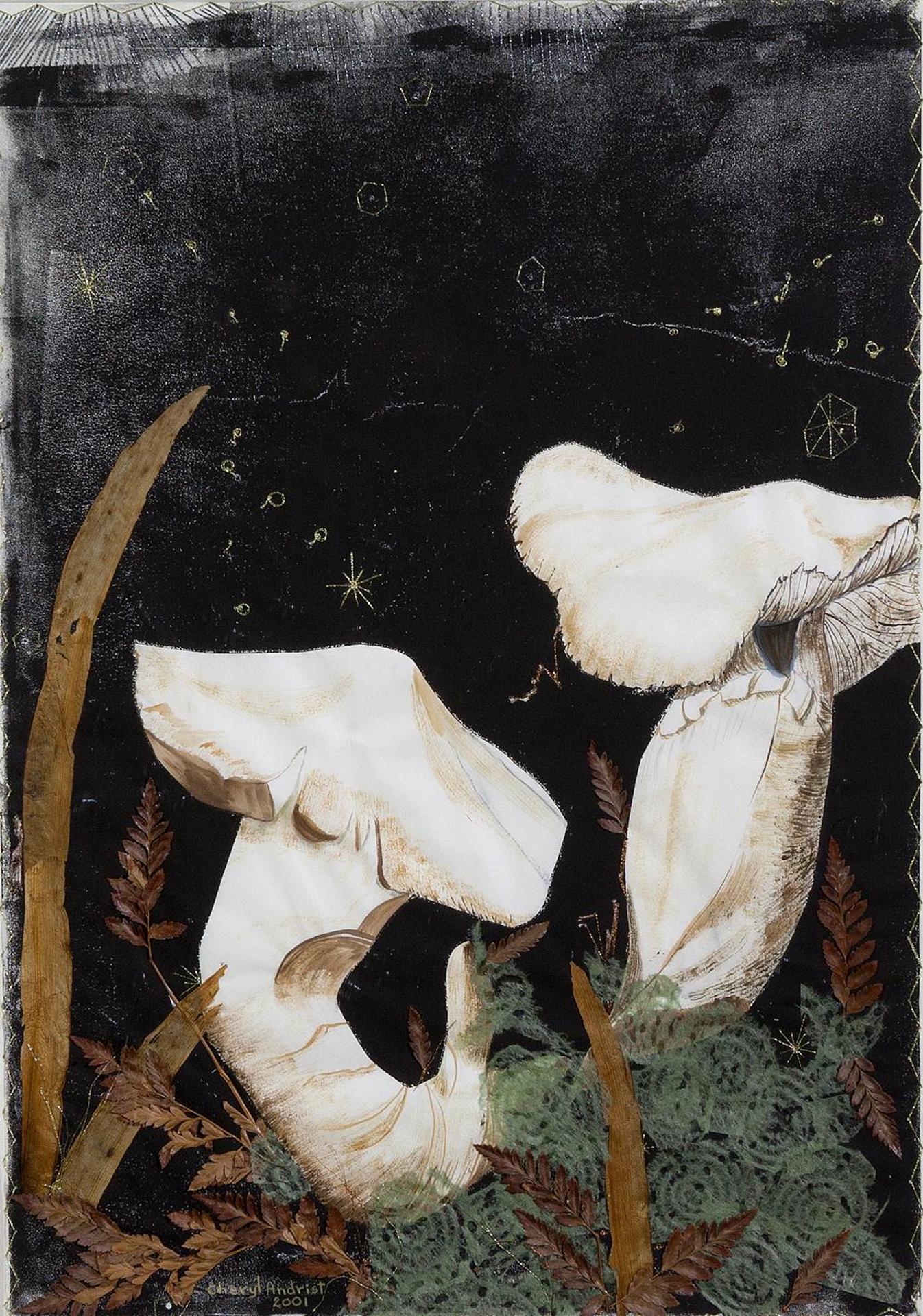 Cheryl Andrist (1945) - Untitled - Mushrooms and Night Sky