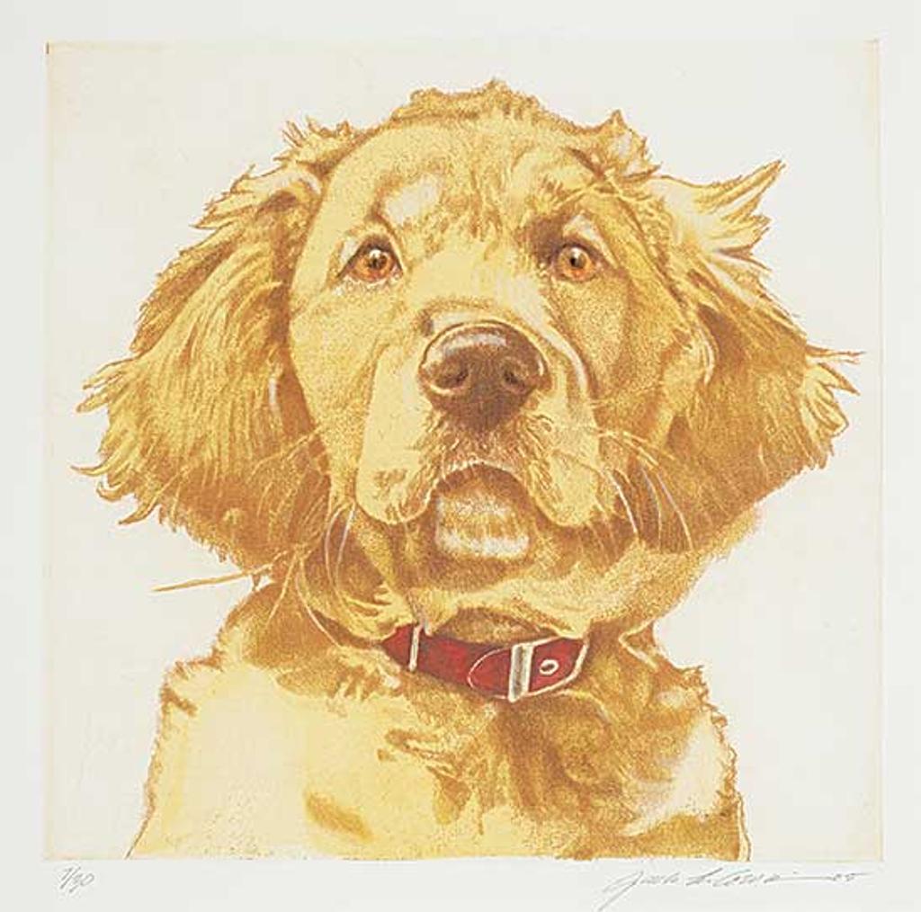 Jack Lee Cowin (1947-2014) - Golden Retriever #7/30