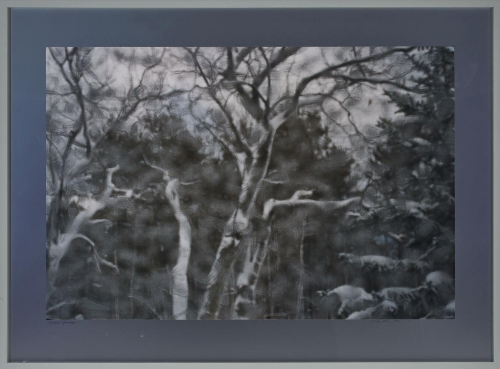 Martha Henrickson (1942) - SNOW #16, 2004