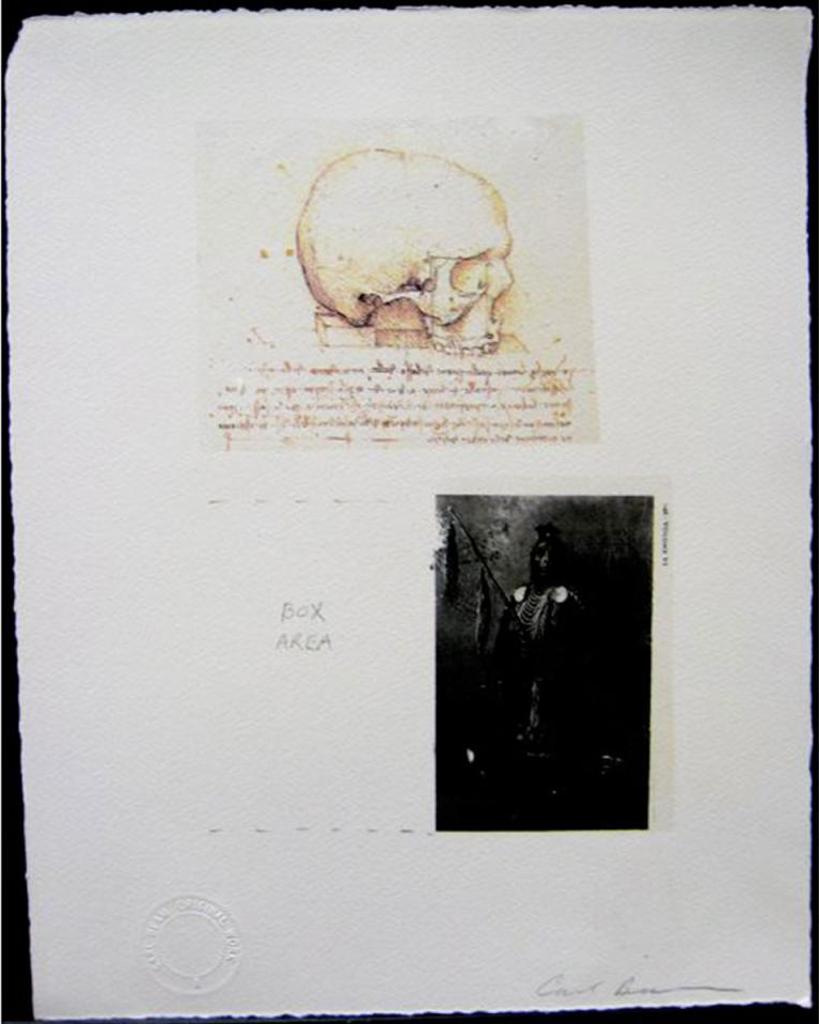 Carl Beam (1943-2005) - Skull/Box Area