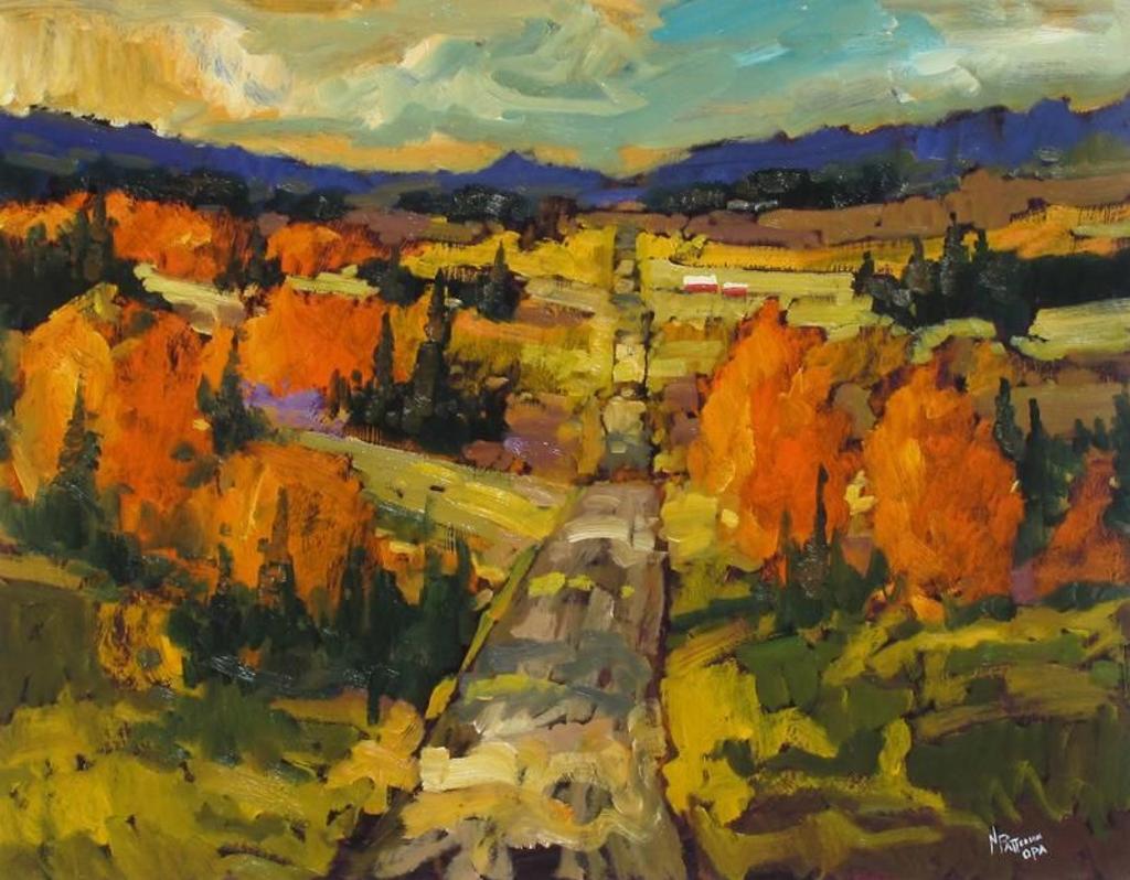 Neil Patterson (1947) - Lookout Road