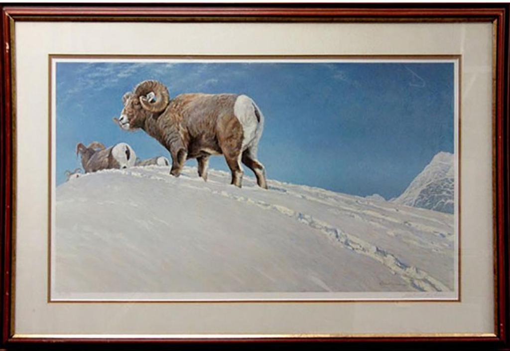 Robert Mclellan Bateman (1930-1922) - Last Look - Bighorn Sheep