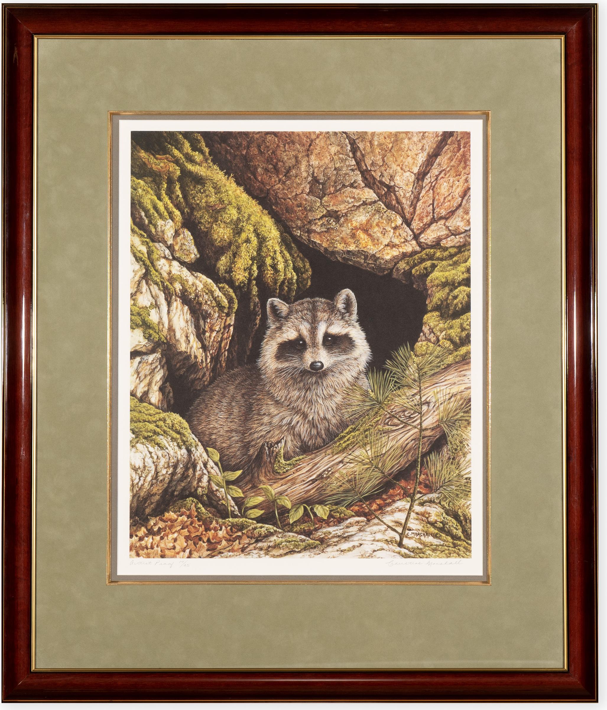 Christine Marshall (1946) - Untitled (Raccoon)