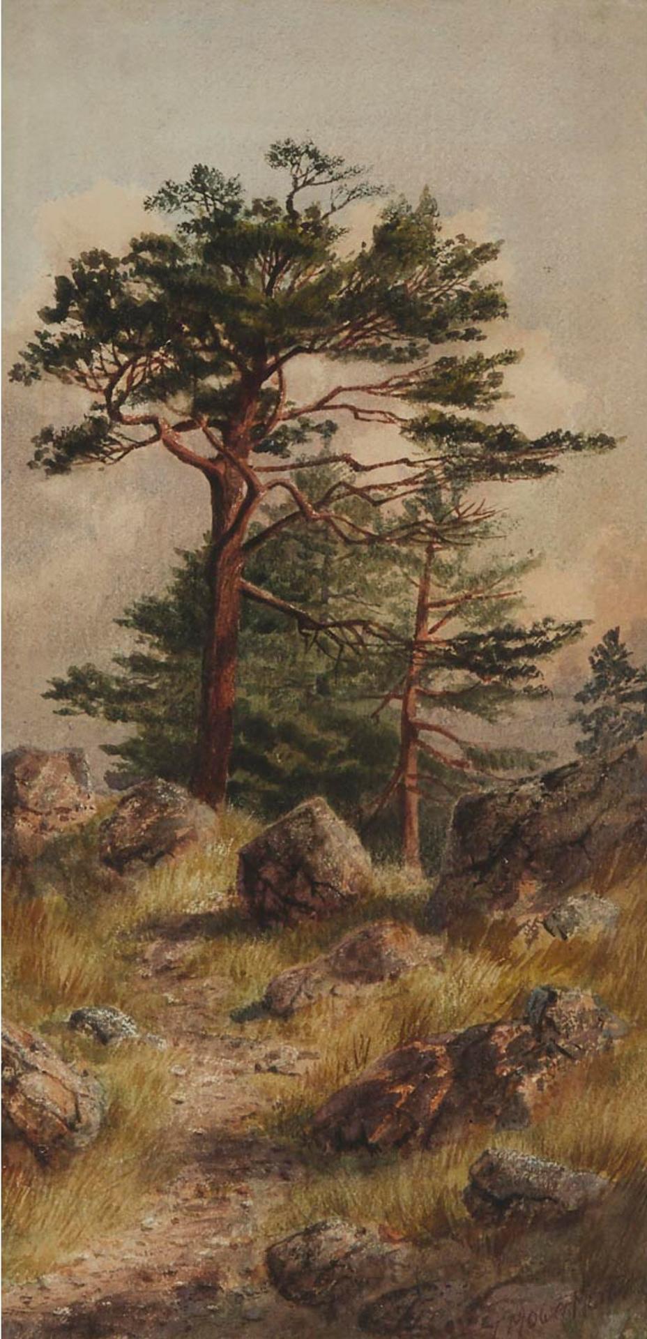 Thomas Mower Martin (1838-1934) - Muskoka Pines