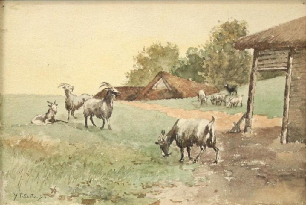 Y.T. Saito - Goats in Pasture