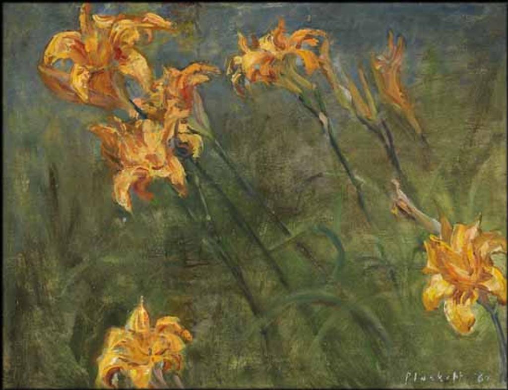 Joseph (Joe) Francis Plaskett (1918-2014) - Day Lilies