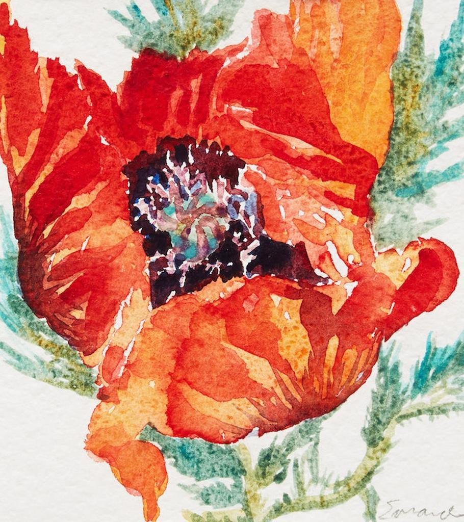 Jamie Evrard (1949) - Poppy