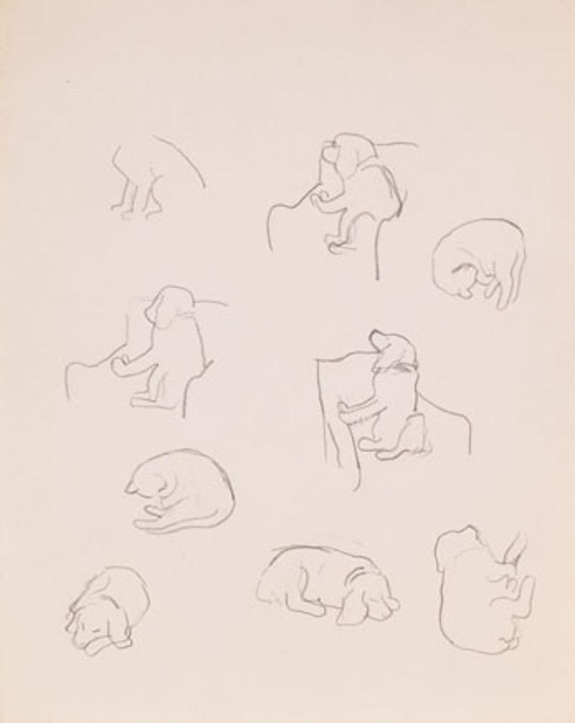 William Goodridge Roberts (1921-2001) - Dog and Cat Studies