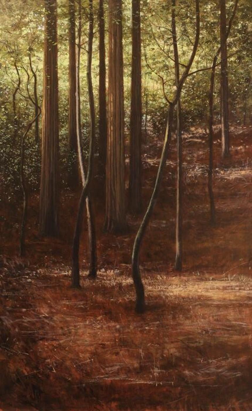 Jeff Aeling (1958) - Muir Woods; 1998