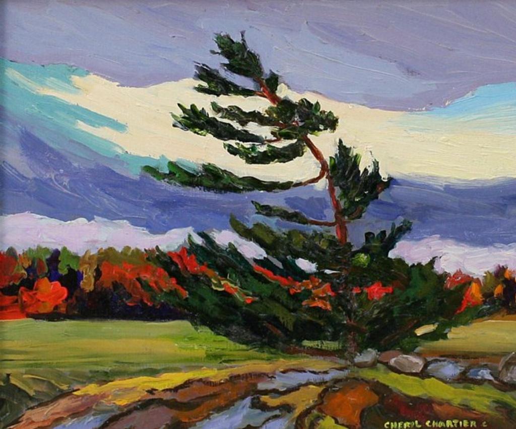 Cheryl Chartier (1952) - Pine Study