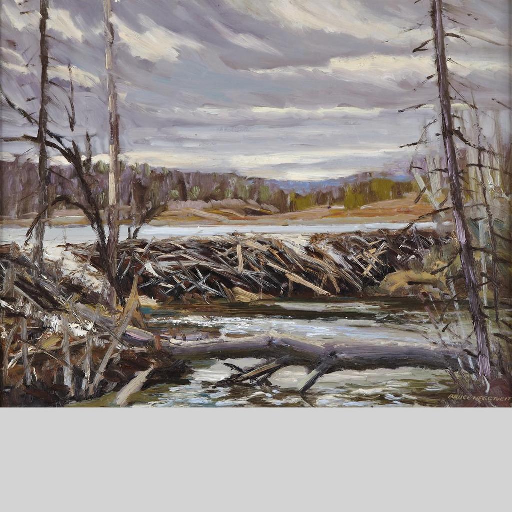 Bruce Allen Heggtveit (1917-2002) - Beaver Dam, Chelsea Creek, Gatineau Park, Quebec, 1985