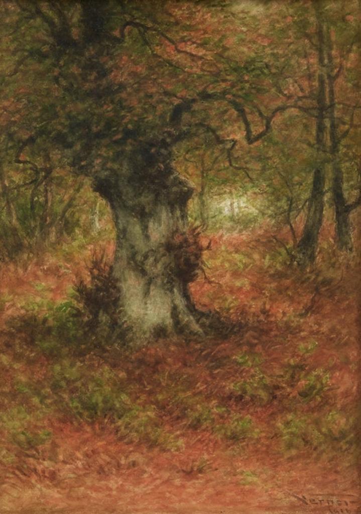 Frederick Arthur Verner (1836-1928) - An Old Birch Tree