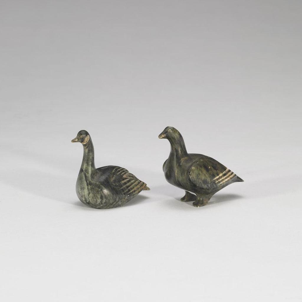 C Kavavou - Swimming Goose; Standing Goose