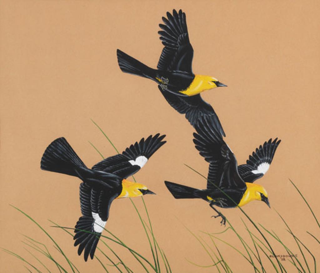 James Fenwick Lansdowne (1937-2008) - Three Birds