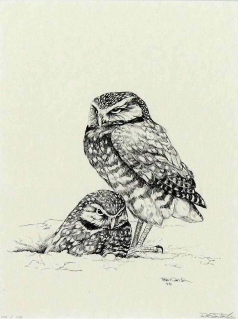 Peter Karsten (1937) - -untitled, Great Grey Owl