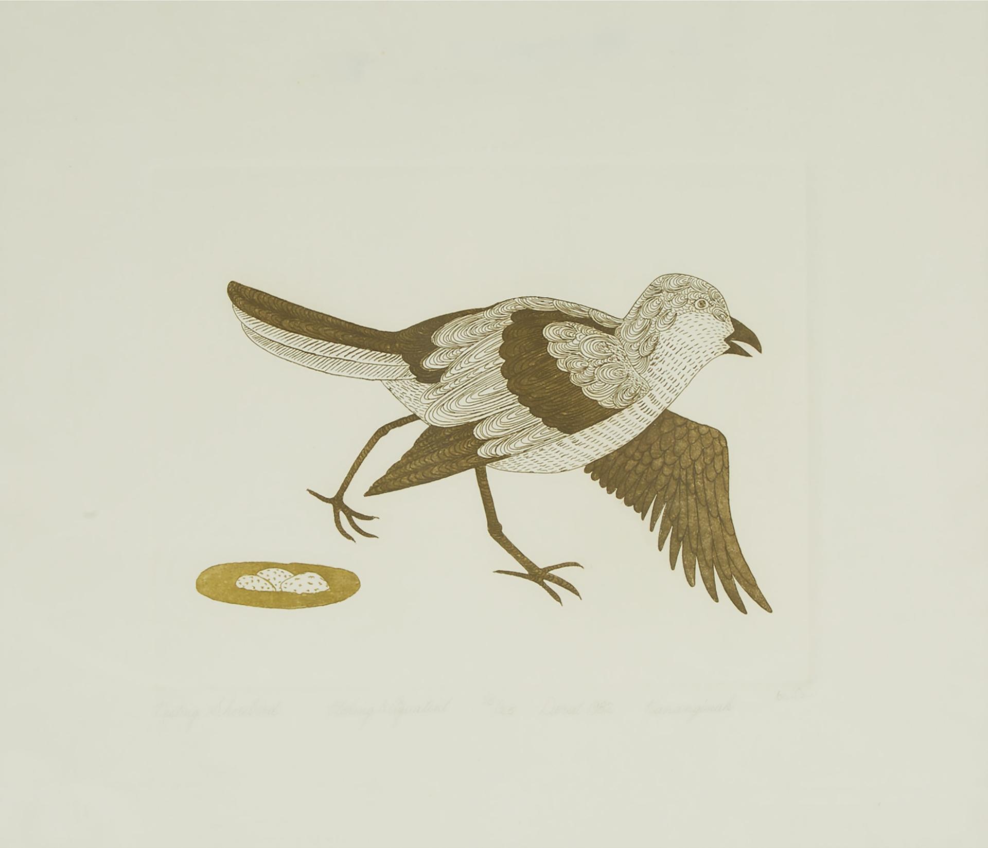 Kananginak Pootoogook (1935-2010) - Nesting Shorebird