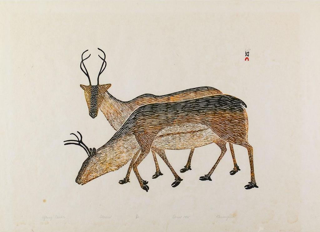 Kananginak Pootoogook (1935-2010) - Young Caribous