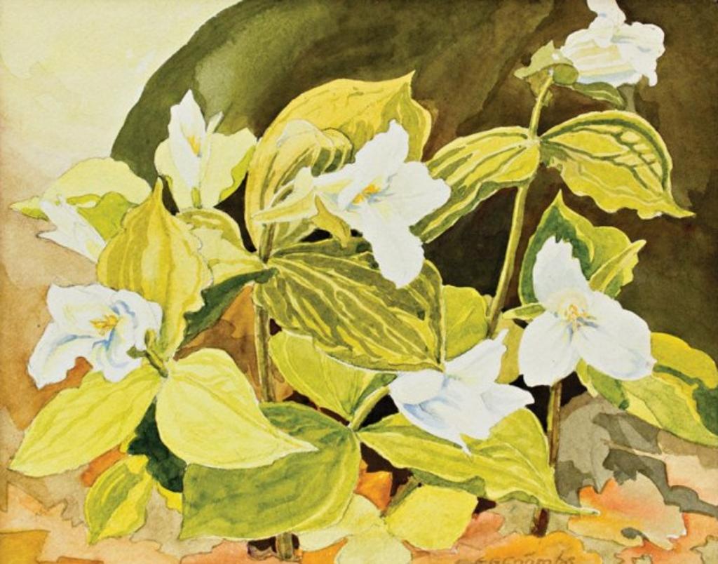 Edith Grace (Lawson) Coombs (1890-1986) - First Trilliums of the Season