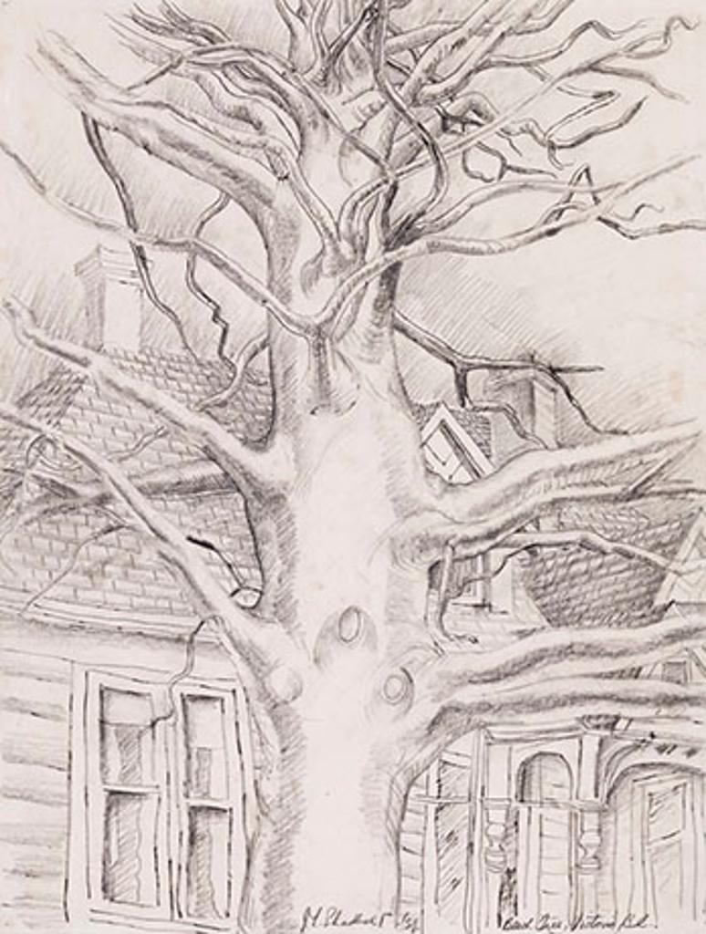Jack Leaonard Shadbolt (1909-1998) - Beech Tree, Victoria, BC